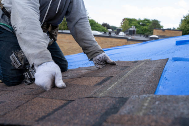 Best Residential Roofing Contractor  in Greenup, IL