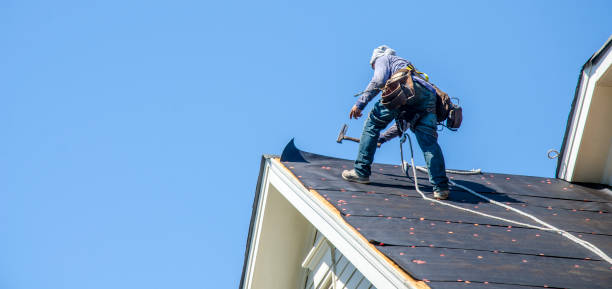 Best Commercial Roofing Services  in Greenup, IL